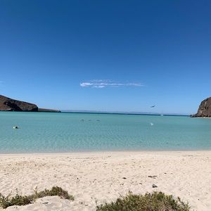 Meet your Posher, Carla